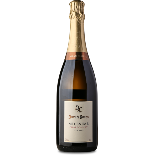 2019 Cava Milesimé Chardonnay, D.O. Cava de Guarda Superior Gran Reserva Can Rius, Juve Y Camps