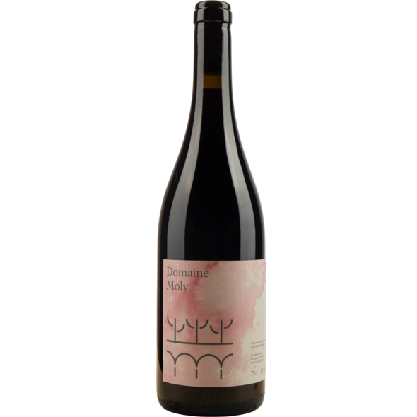 2025 Bazaar Rouge, VDF, Domaine Moly