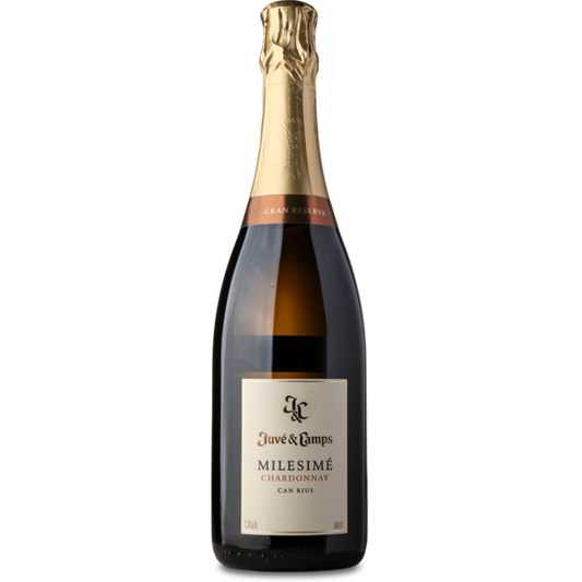 2019 Cava Milesimé Chardonnay, D.O. Cava de Guarda Superior Gran Reserva Can Rius, Juve Y Camps