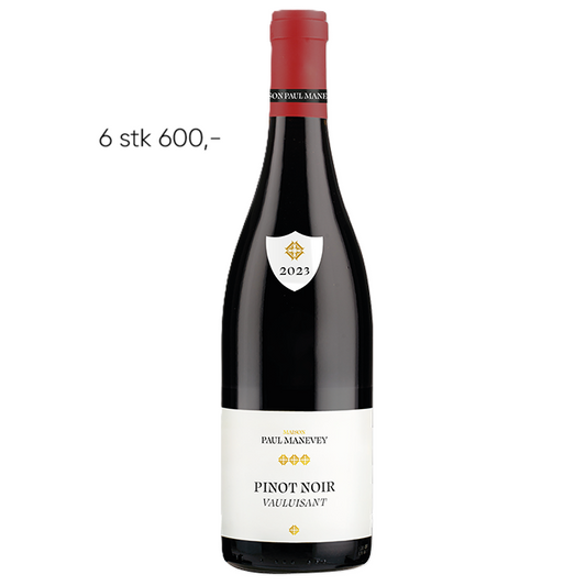Pinot Noir “Vauluisant” 2024 -Maison Paul Manevey